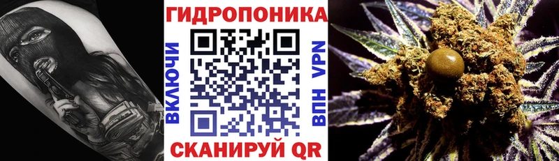 закладки  мега как войти  Канабис конопля  Советский 